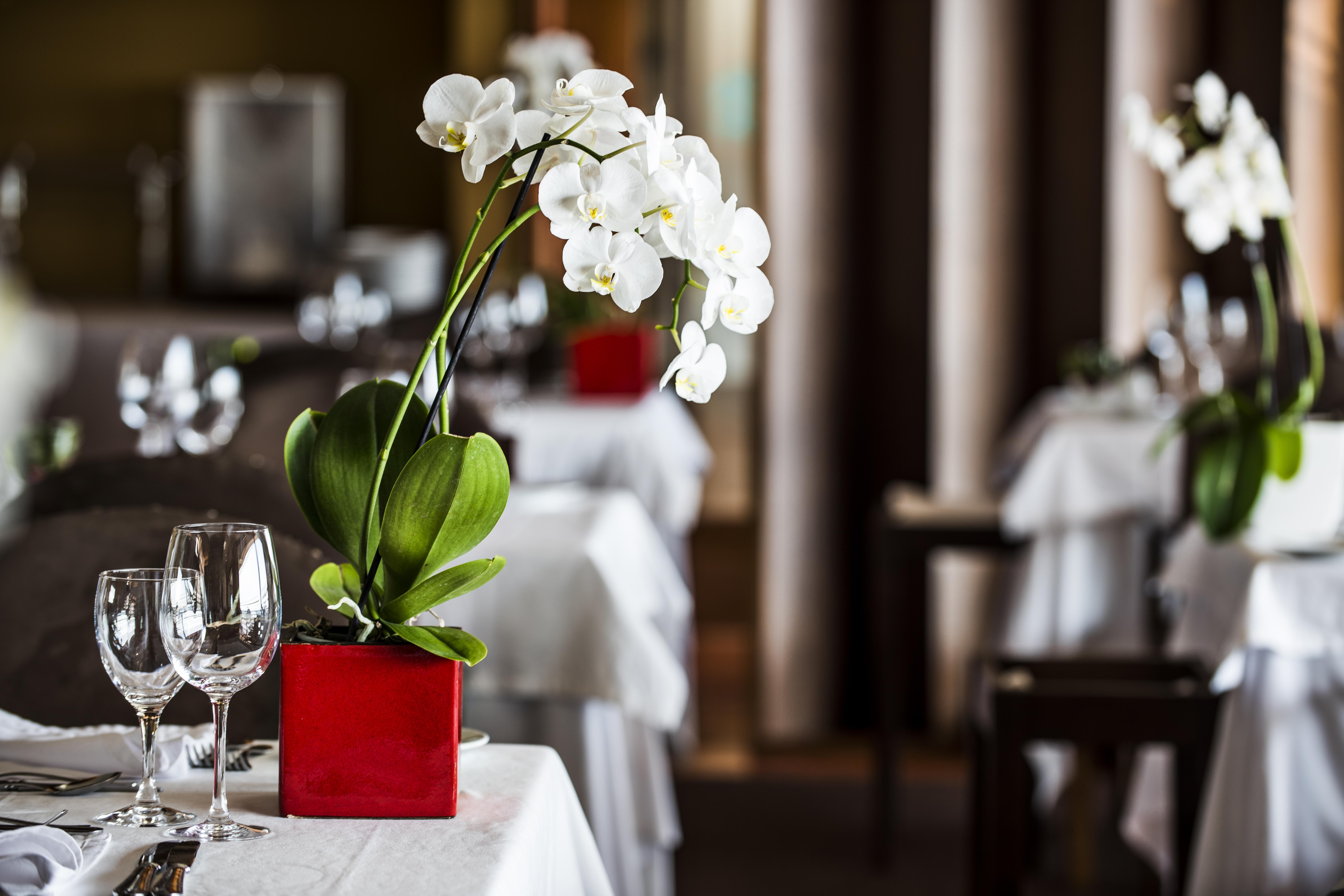 Sao Felix Hotel Hillside & Nature Повуа-ди-Варзин Экстерьер фото